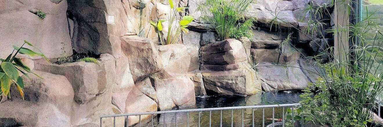 Naturnahe Kunstfelsen als echter Hingucker in Ihrem Garten.